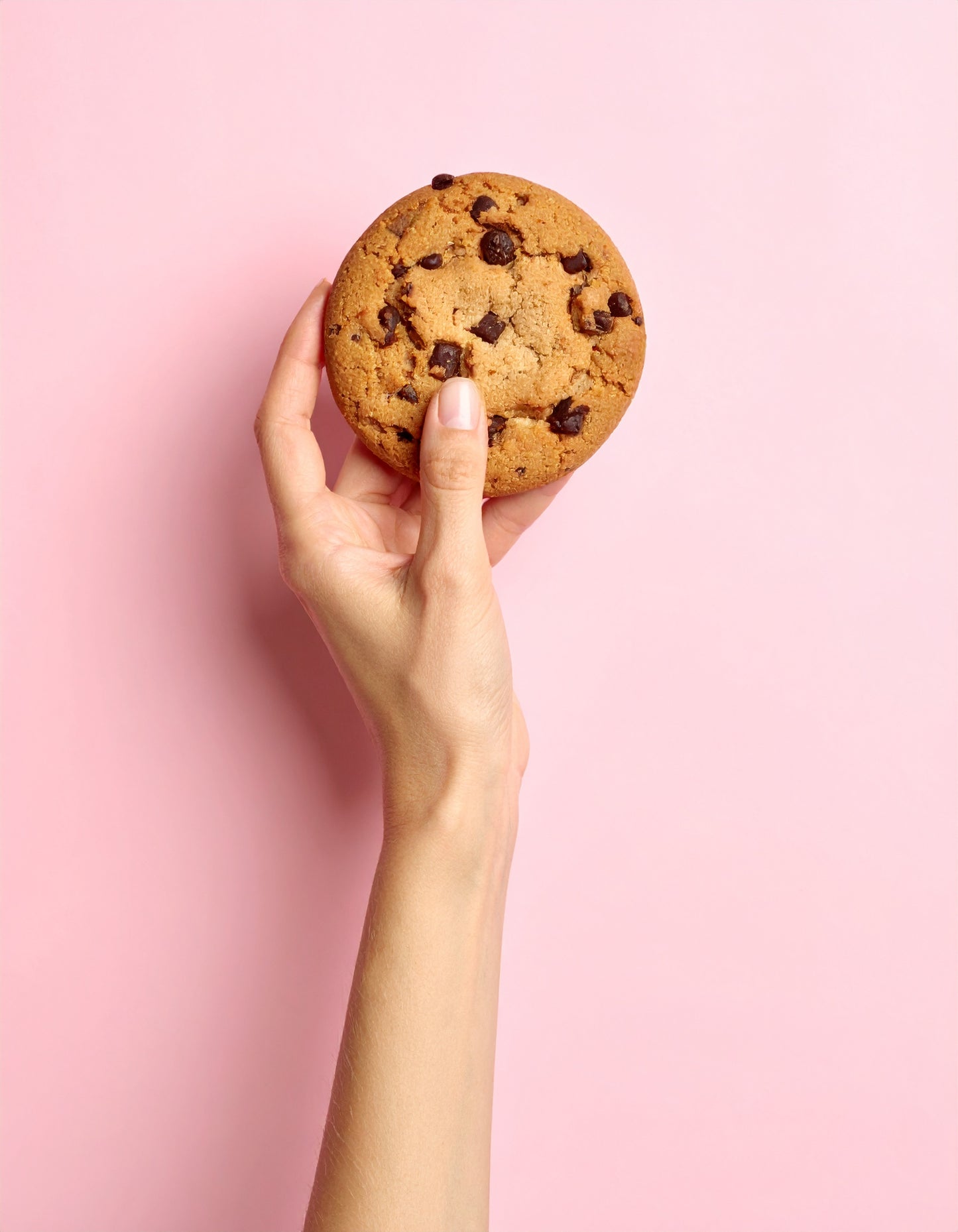 2er Set Cookie Cocoa Chip with Speculoos Creme